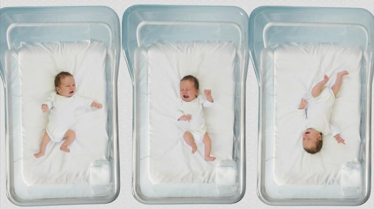 ScienceinPoland's tweet image. The fertility rate - referring to the average number of children that a woman would give birth to if fertility were to remain at the level observed in a given year - decreased from 1.419 in 2019 to 1.320 in 2021. #demography  #birthrate @unilodz  scienceinpoland.pl/en/news/news%2…