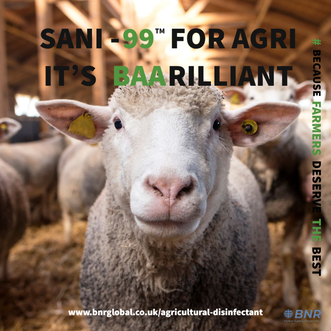 BNR_Global_SG's tweet photo. SANI-99 for AGRI is multi-purpose with an unbeatable Log 7 rating (that’s a massive 99.99995%) and has a class leading efficacy of over 3 months. #sani99 #sani99foragri #becausefarmersdeservethebest #agriculture #agriculturaldisinfectant #disinfectant #disinfection https://t.co/qQJxmS8OKG