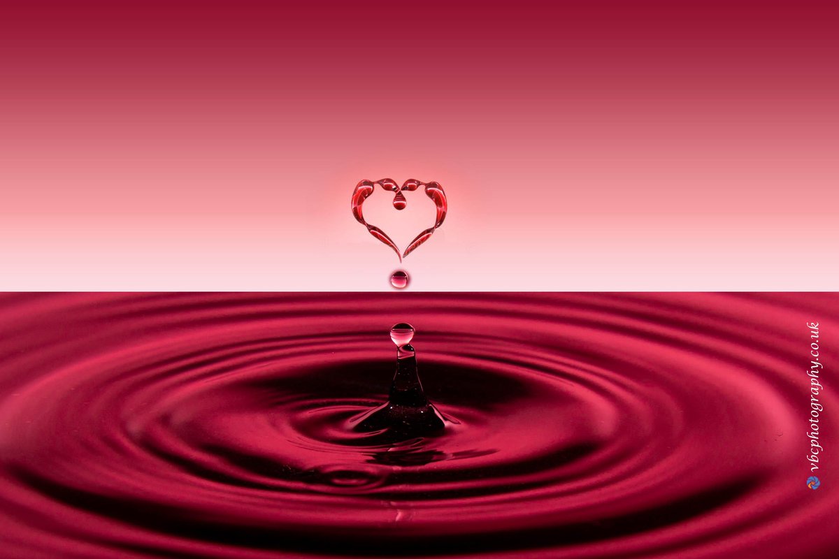 VBC Photography tweet media