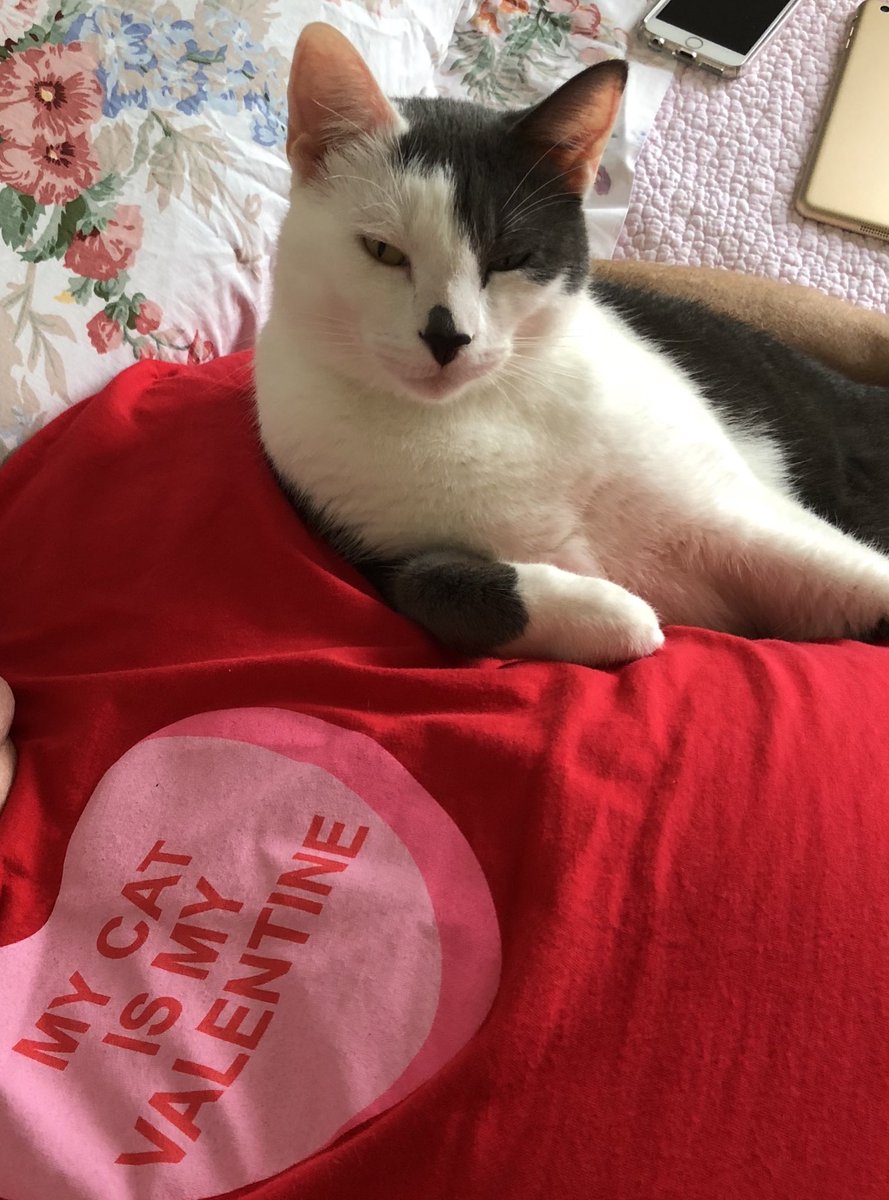 Roses are red, violets are blue, I want treats now and you to scoop my poo! I love you mom! ~Scooter