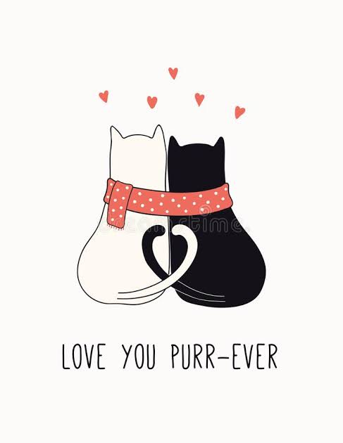 dailydose_cats's tweet photo. https://t.co/i7QdXen0Mq