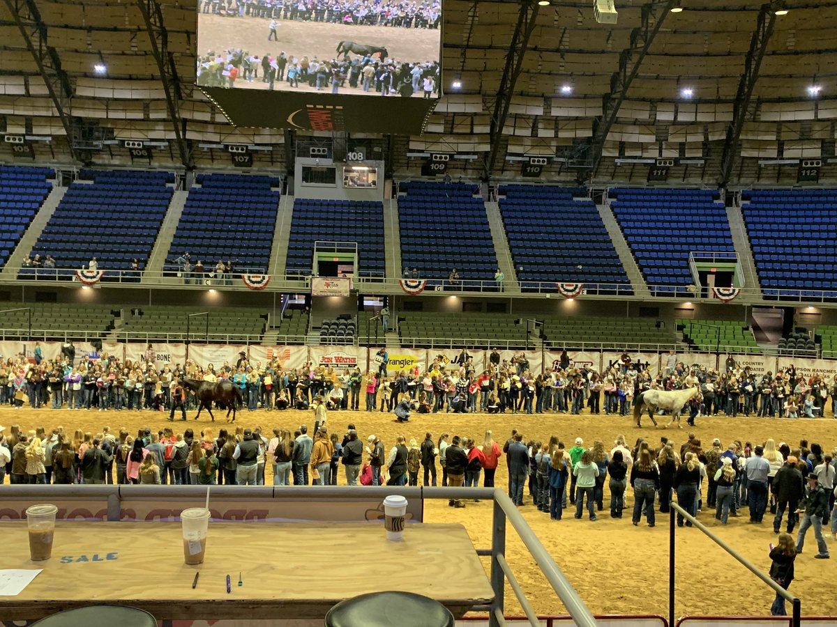 Horse Judging placed 5th out of 117 teams at the San Antonio Livestock Show - Horse Judging Contest! Congratulations to Alexa on receiving 9th place individual out of 432 contestants! @Mr_B_Johnson @DavinVogler @CTEShrek @GeorgetownISD