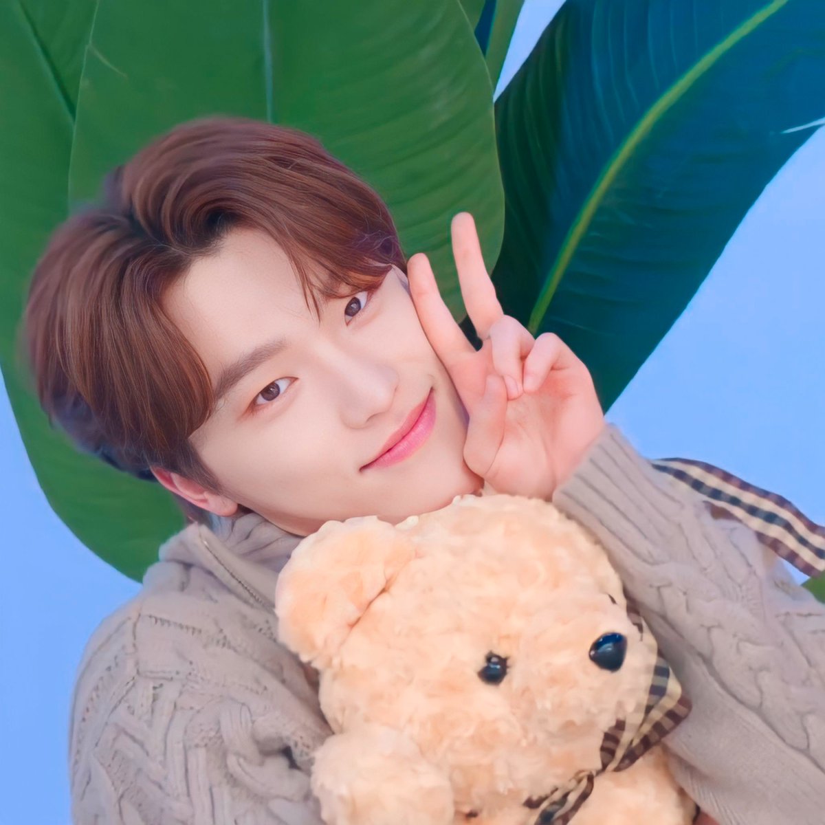 우리 디노 너무 깜찍하셔서 고화질 돌려옴 ㅠㅁㅠ