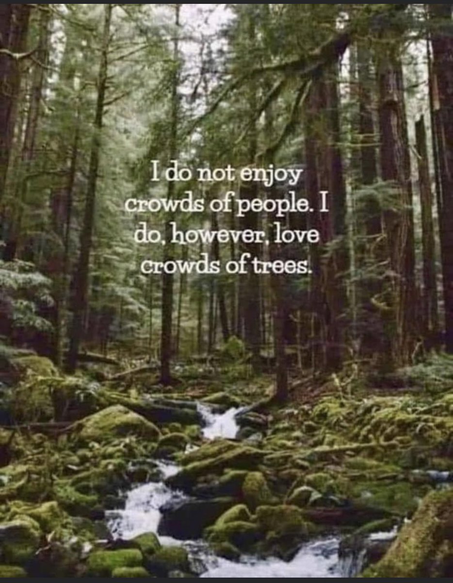 ChelseaB42's tweet photo. 🌲🌲🌳 https://t.co/Vw8xKwK1yH