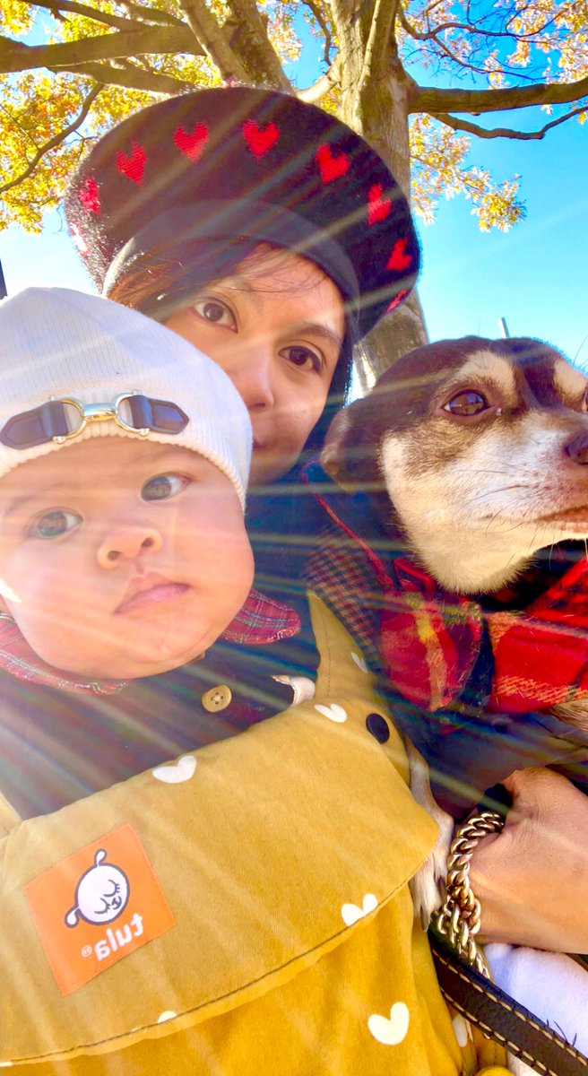 jaxlag's tweet photo. I love my little ones, Olivia Valentina and Valentino. ❤️❤️💝💘💕💌#GooddayDC @fox5dc https://t.co/rn9G381FG4