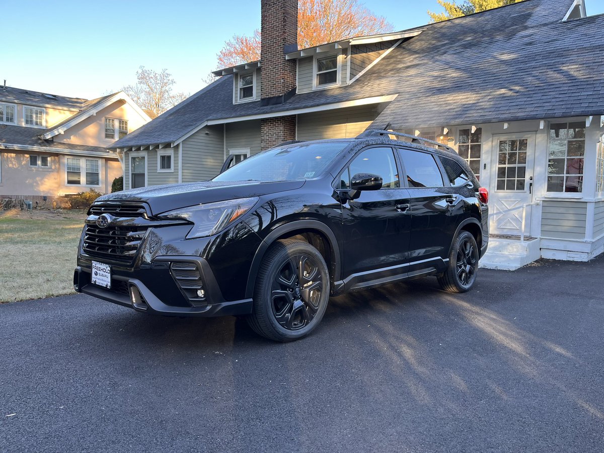 FluffyCuffs tweet media