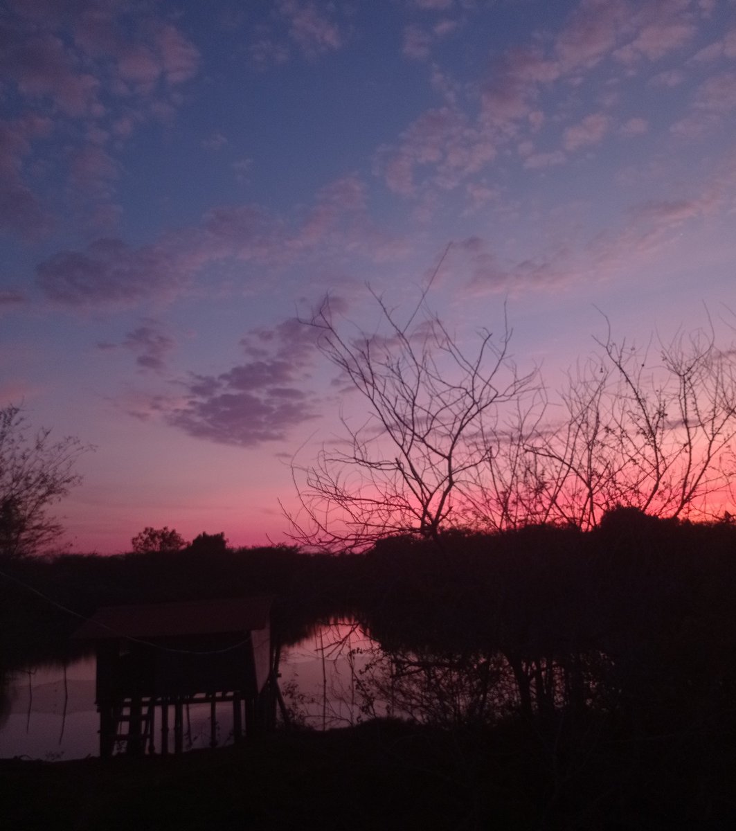 dani babe 🐱🐸 tweet media