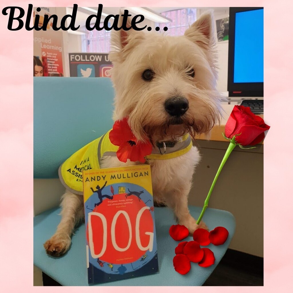 DerbyUniLibrary's tweet photo. Chutney will be in the library with a red rose and a his book ready for his blind date to arrive. Will it be you...... #blinddate #loveyourlibrary #chutneythelibrarydog #chutney #valentine #bemine #leeklibrary https://t.co/gUZbCvBYKn https://t.co/HXe5UZa7Ik