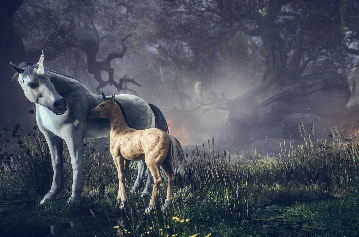Matt_Photomode's tweet photo. Fantastic beasts and their cubs😊
#HogwartsLegacy #virtualphotography #xbox #XboxSeriesX @HogwartsLegacy @PortkeyGames https://t.co/I85lUo56wT