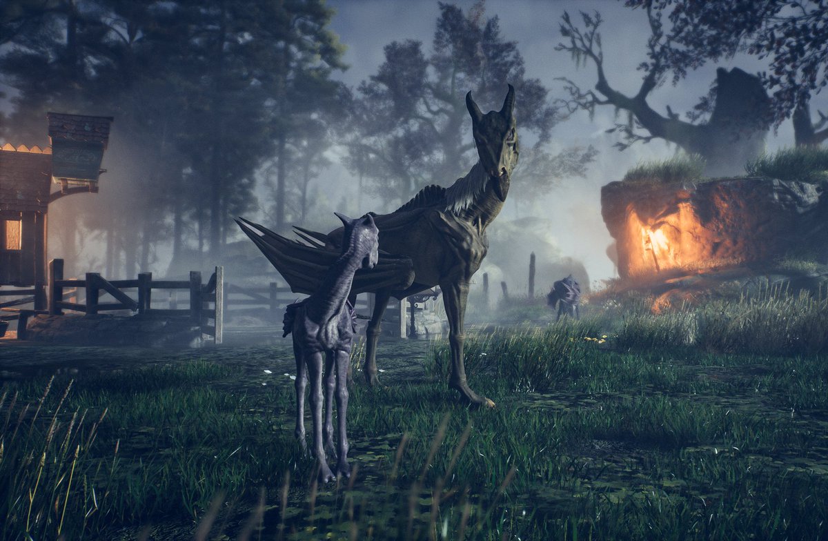 Matt_Photomode's tweet photo. Fantastic beasts and their cubs😊
#HogwartsLegacy #virtualphotography #xbox #XboxSeriesX @HogwartsLegacy @PortkeyGames https://t.co/I85lUo56wT
