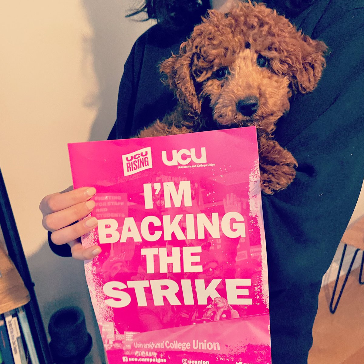 OmarPKhan's tweet photo. Musa is backing the strike. 🪧 
He’s usually right about these things. 
#ucuRISING @ucu #UCUstrike https://t.co/WWhLYxcCLA