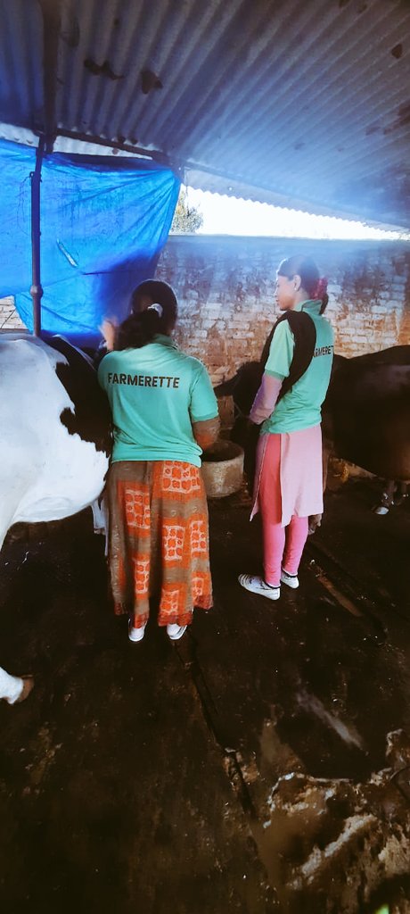 iwef_india's tweet photo. #CowHugDay in India! Resonate love and affection to nature and serve them as your duty.#IndigenousPeople #ProtectCows #ProtectEnvironment #ProudIndian @UN4Indigenous @IIWF @pawankafund @PMOIndia @WorldBank @peta @MinOfCultureGoI https://t.co/ufwVtxWZSC