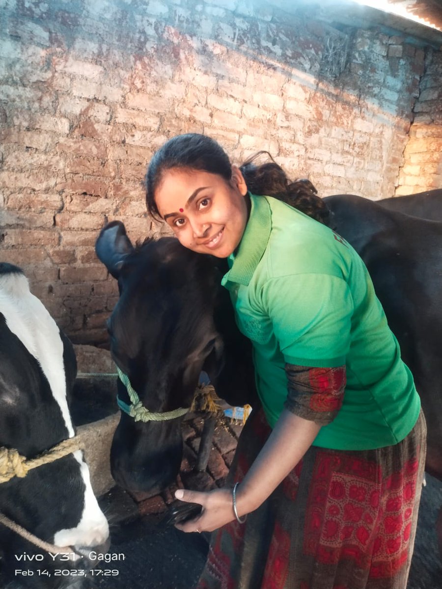 iwef_india's tweet photo. #CowHugDay in India! Resonate love and affection to nature and serve them as your duty.#IndigenousPeople #ProtectCows #ProtectEnvironment #ProudIndian @UN4Indigenous @IIWF @pawankafund @PMOIndia @WorldBank @peta @MinOfCultureGoI https://t.co/ufwVtxWZSC