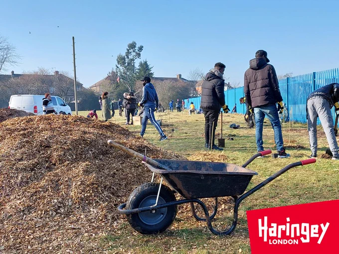 People planting trees