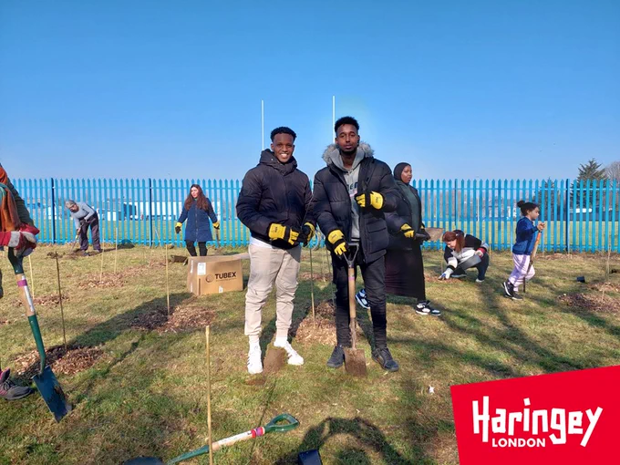 People planting trees