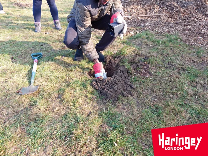 People planting trees