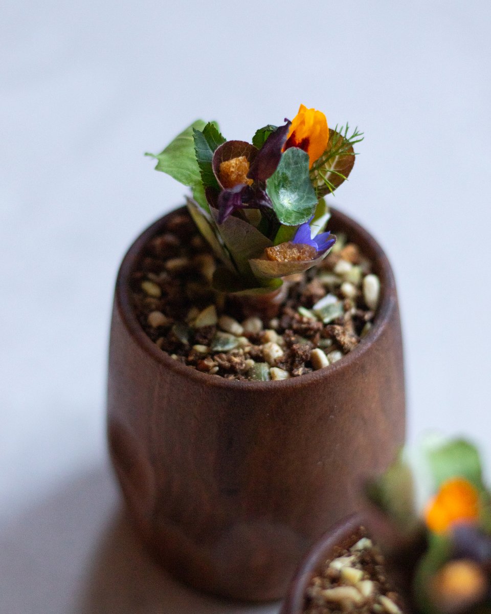 DaTerra_London's tweet photo. One of the bites you take when dining at Da Terra, a seasonal bouquet of fresh herbs.
.
.
.
@michelinguide @rafacagali #rafaelcagali #2MICHELINStars #michelinlondon #finedining #atthepass #cheflife #eastlondonrestaurant #townhallhotel #chefsofinstagram #finedininglovers #daterra https://t.co/ZlYSxgXo41