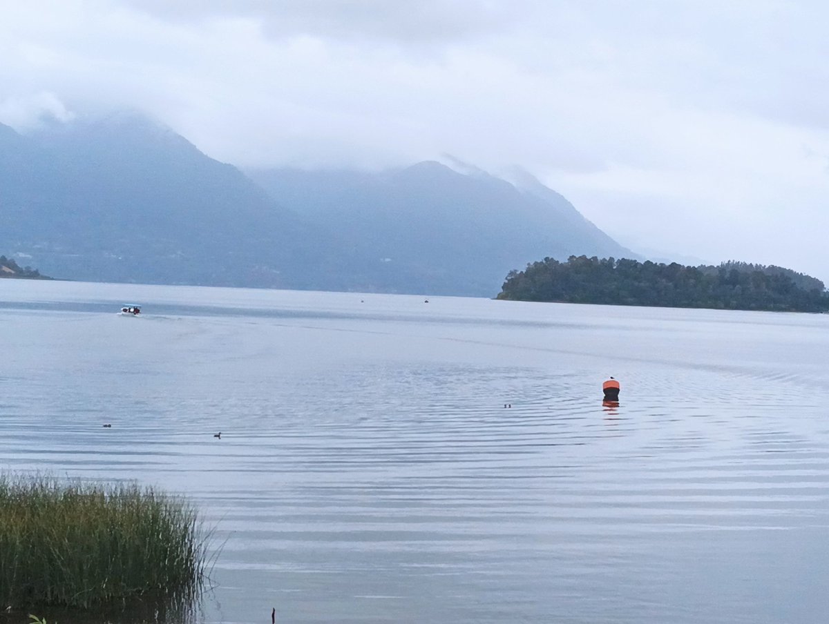 moralesdechile's tweet photo. La inmensidad del lago Panguipulli https://t.co/UPh7nJhwGv