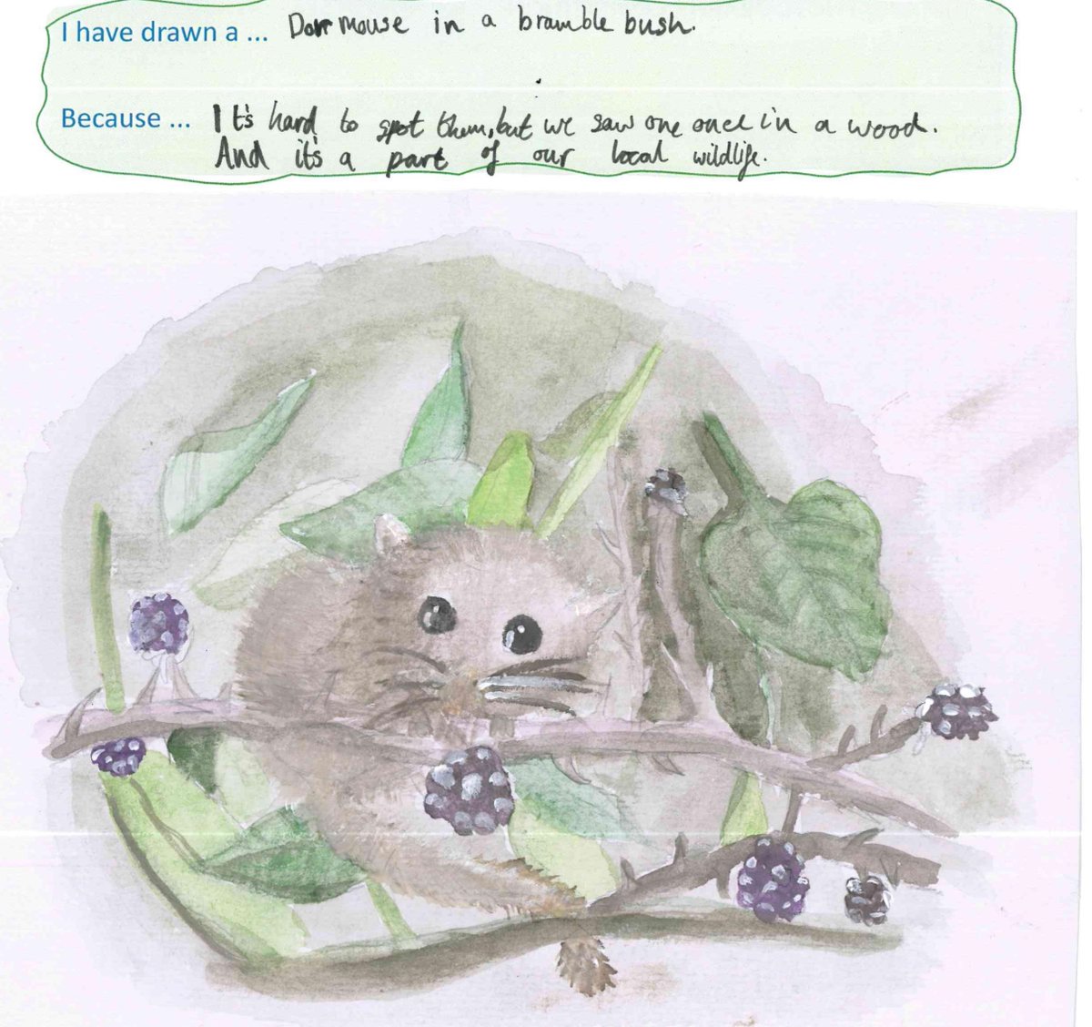 EcoSchoolsLCC's tweet photo. Congratulations to our 100 species art competition winners from @ojsinfo @SJNCCSchool @stmartin1963 👏
There were some amazing entries so thank you to everyone who entered! https://t.co/LVc9ehoq6U