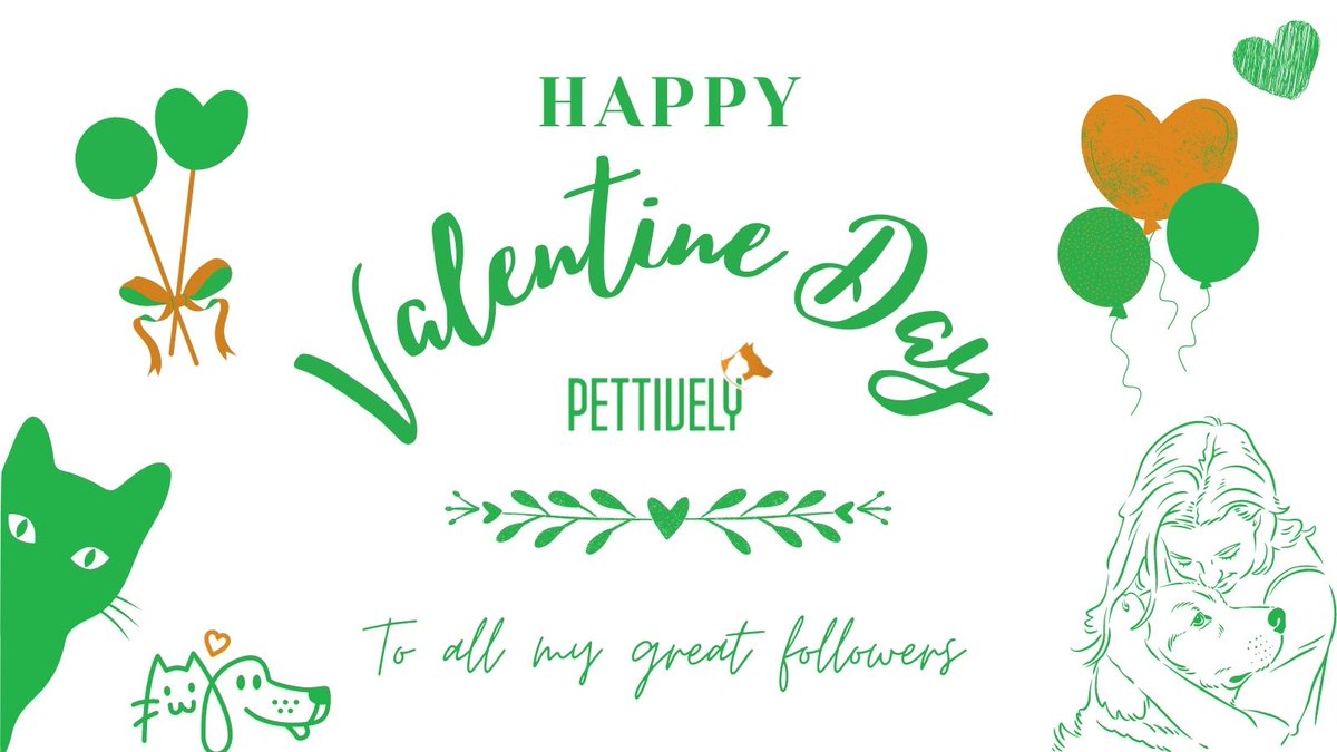 pettively's tweet photo. Happy Valentine Day
To all my Great Follower.

https://t.co/Wz3YoFNKGE

#happyvalentinesday #valentinesdayspecial 
#february #petfunfact #petfact #petfun #pet #petquote #dogcare #petdog #productsblog #petproblems #petsafety #pettivelypet #petproducts #petlove #doglove #catlove https://t.co/8dsgNhEMvP