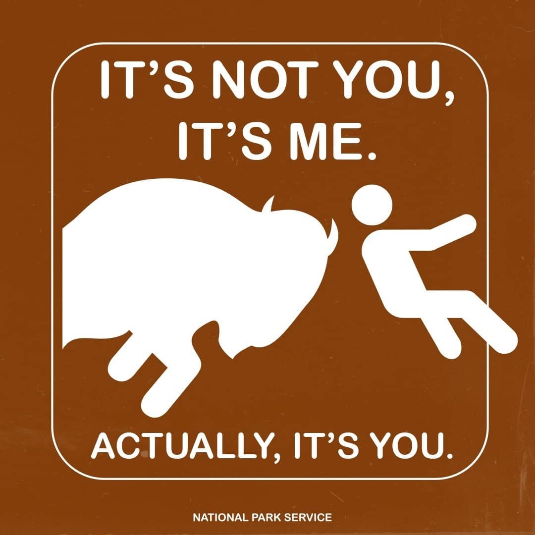 Square graphic in the style of park sign with the words, “It’s not you, it’s me. Actually, it’s you” with the silhouette of a person being bumped by a bison. 
