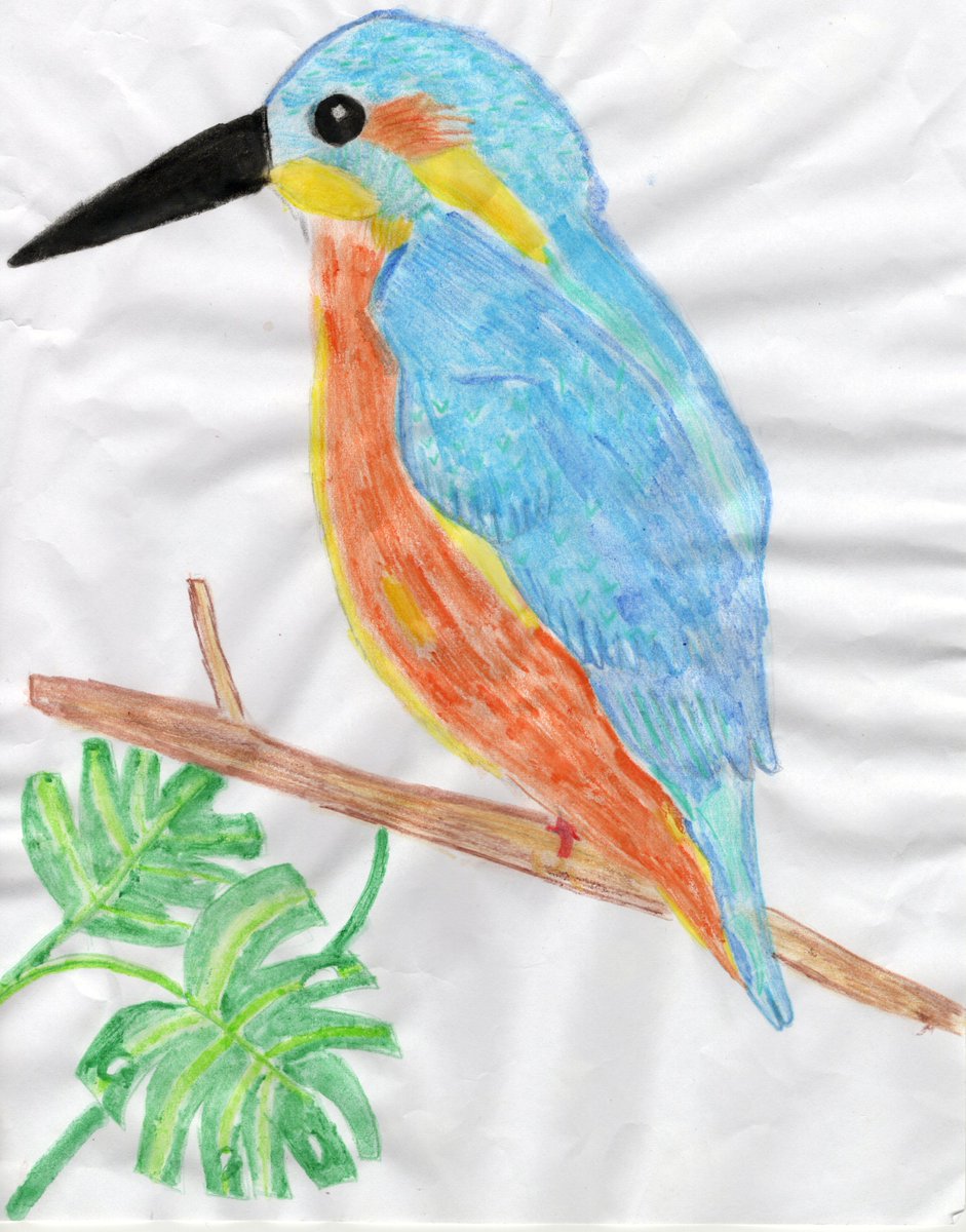 EcoSchoolsLCC's tweet photo. Congratulations to our 100 species art competition winners from @ojsinfo @SJNCCSchool @stmartin1963 👏
There were some amazing entries so thank you to everyone who entered! https://t.co/LVc9ehoq6U