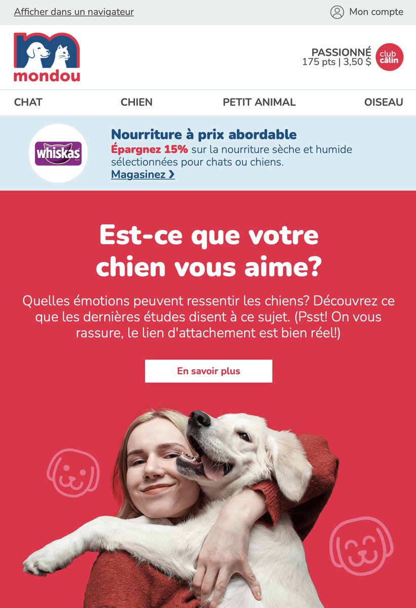 Jeff Frenette tweet media