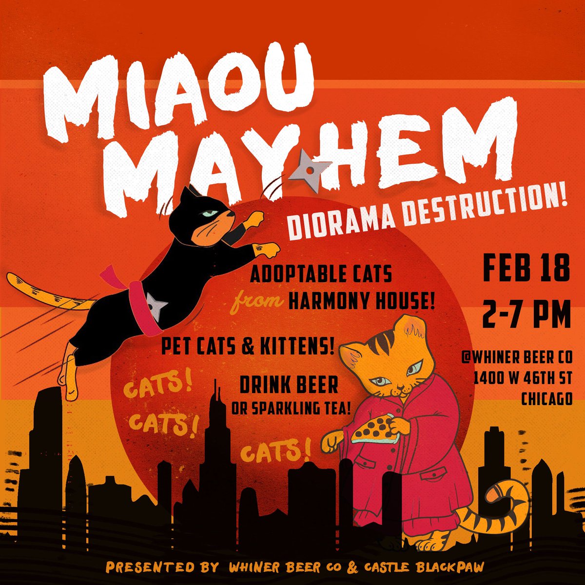 Bar full of kittens. join us with Harmony House  Feb 18th for Miaou Mayhem!