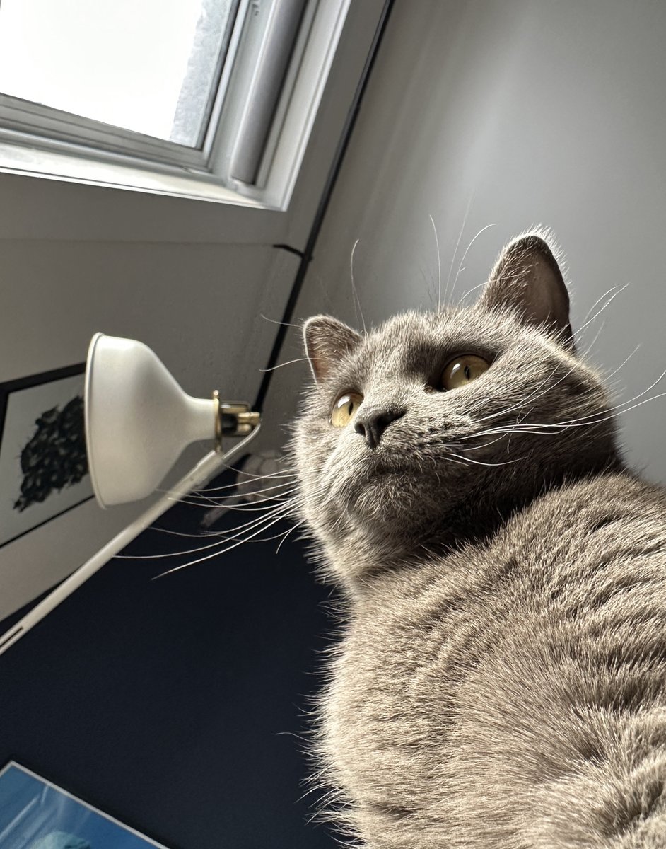 Jeff Frenette tweet media