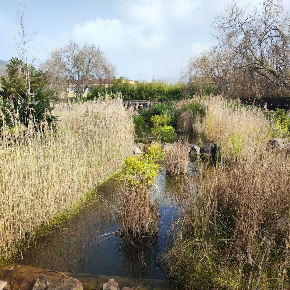Juan_A_MolinaC's tweet photo. ❓ ¿Acabará abandonado de la misma manera?

#parqueinundable #parque #LaLaguna #lavega #Humedal #mosquitos https://t.co/zUWX3mH3A5