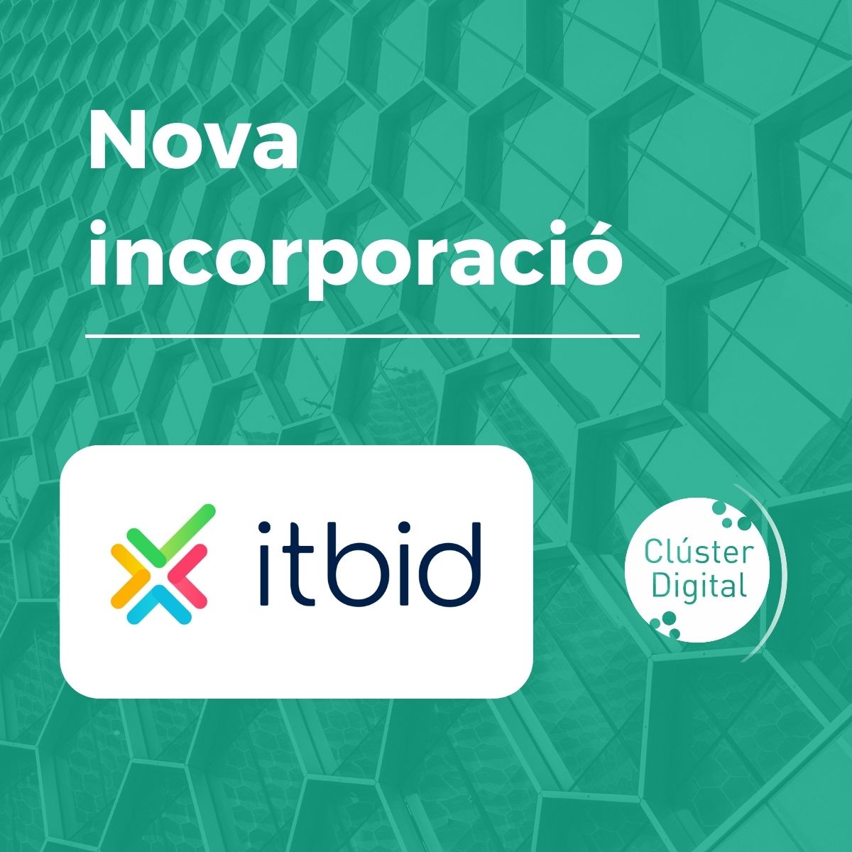Cluster_Digital's tweet image. 🤝 #itbid és una de les incorporacions més recents al Clúster Digital de Catalunya.

Multinacional fundada el 2009 a Barcelona, experta en digitalitzar i optimitzar la gestió de #proveïdors i #compres amb solucions tecnològiques.

+al seu web 👉🔗 itbid.com