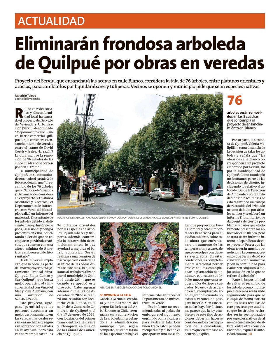 Árbol Urbano tweet media