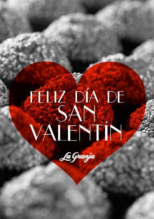 Trading2080's tweet photo. Happy VALENTINE'S DAY ❤🌹follow everyone who likes this tweet. Come on, I'll wait for you and follow you. @PubliTweet23 https://t.co/WPL3PSeL0E