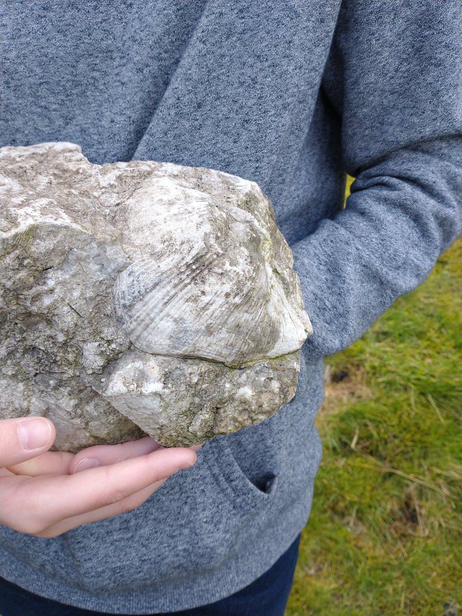 CLCheethamUK's tweet photo. Adams found a fossil during our walk @MundellaEagles https://t.co/gSA4UxA0RB