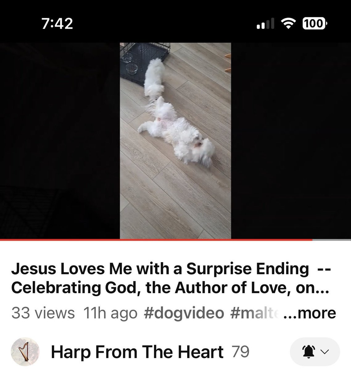 TheSingingNurse's tweet image. 💜For All you #Jesus &amp;amp; #puppy lovers out there #JesusLovesMe on the #Harp youtu.be/Xkhoym525pA 🎵💜 #HappyValentinesDay
