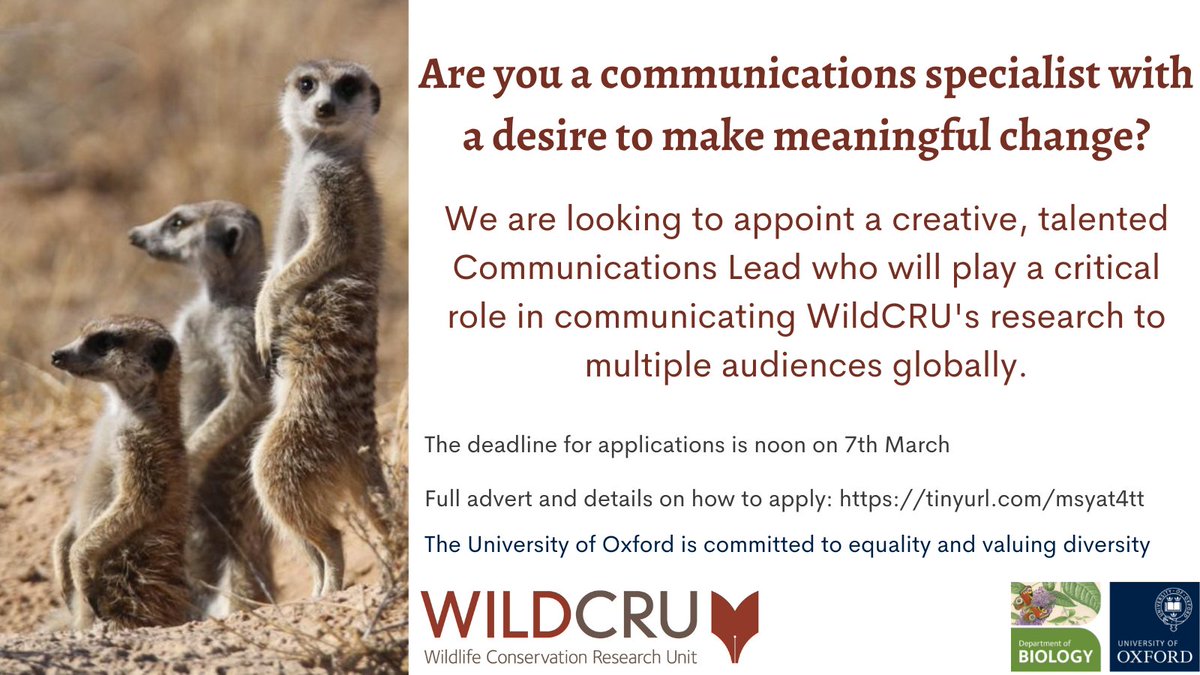 WildCRU, Oxford (@wildcru_ox) on Twitter photo 🙌Job opportunity 🙌
We're looking for a Communications Lead to join our #WildCRU team.
Find out more👇
tinyurl.com/msyat4tt
<a href="/OxfordBiology/">Oxford Biology</a> <a href="/OxfordSparks/">OxfordSparks</a> <a href="/UniofOxford/">University of Oxford</a> 🙌Job opportunity 🙌
We're looking for a Communications Lead to join our #WildCRU team.
Find out more👇
tinyurl.com/msyat4tt
<a href="/OxfordBiology/">Oxford Biology</a> <a href="/OxfordSparks/">OxfordSparks</a> <a href="/UniofOxford/">University of Oxford</a>