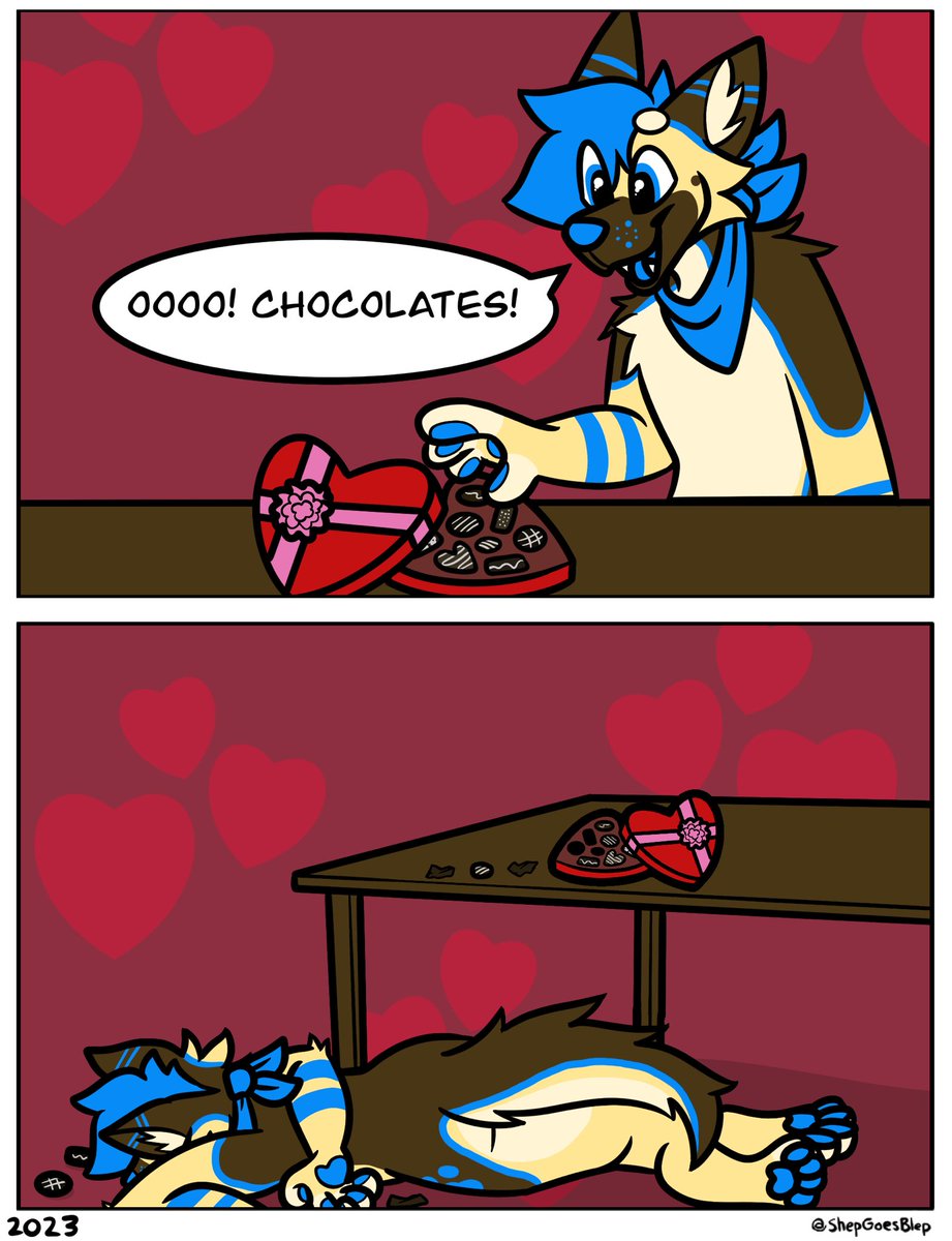 Dogs can’t eat chocolate joke Valentine’s Day edition