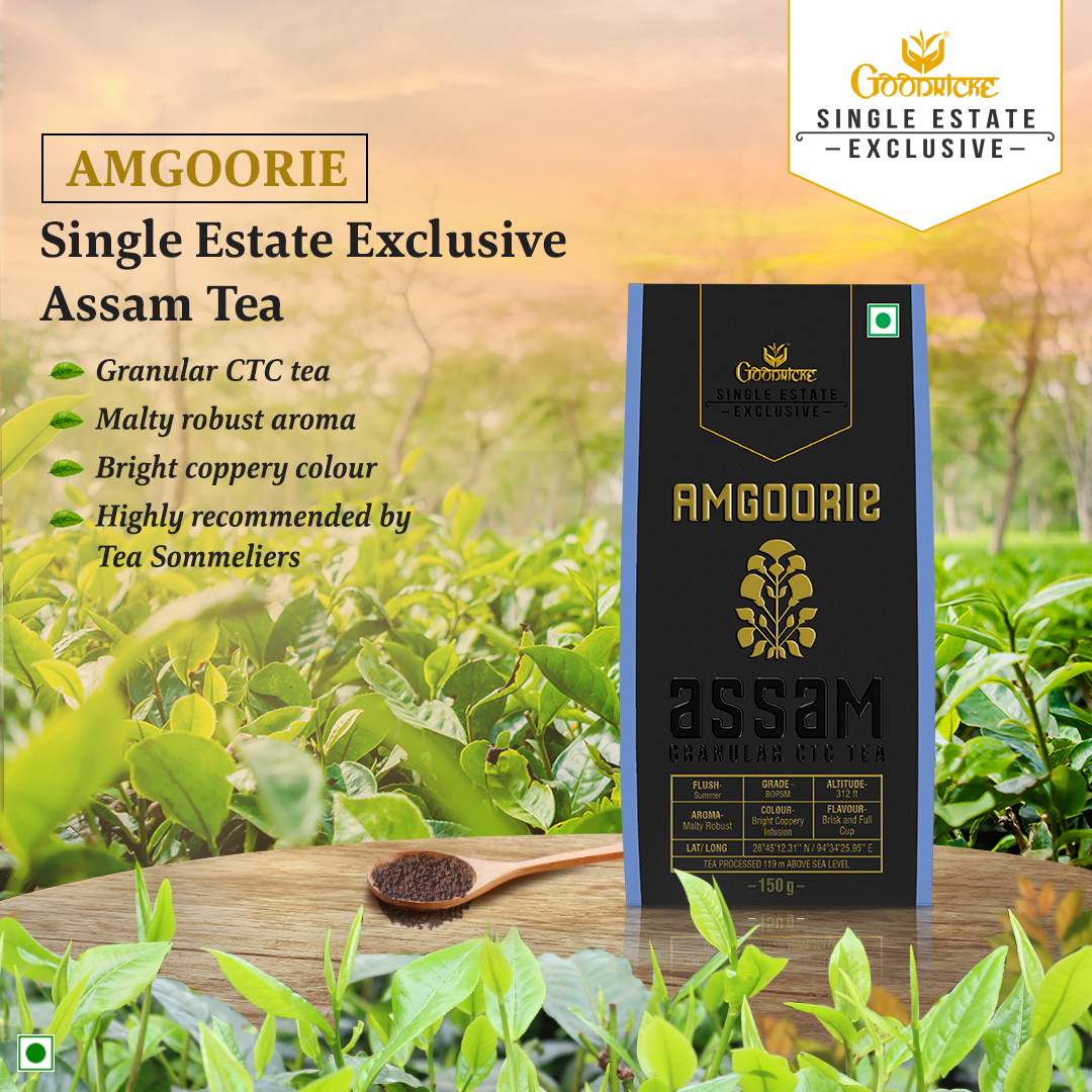 GoodrickeTea's tweet photo. Located on the southern bank of river Brahmaputra in Assam, Amgoorie tea estate produces a signature blend that is used worldwide and is highly recommended by our Tea Sommeliers.

Shop now at https://t.co/LKwgCKwW34
#singleestate #premiumtea #CTCtea #teaconnoisseur #Goodricketea https://t.co/CSWbDDi1k4