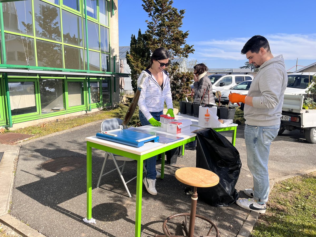 François Delmotte (@pacodelmotte) on Twitter photo An outdoor BC2grape laboratory at <a href="/inrae_save/">INRAE_SAVE</a> (bordeaux) to assess the effect of pythium oligandrum on grapevine trunk diseases <a href="/biobesticide/">BIOBESTicide Project</a> An outdoor BC2grape laboratory at <a href="/inrae_save/">INRAE_SAVE</a> (bordeaux) to assess the effect of pythium oligandrum on grapevine trunk diseases <a href="/biobesticide/">BIOBESTicide Project</a>