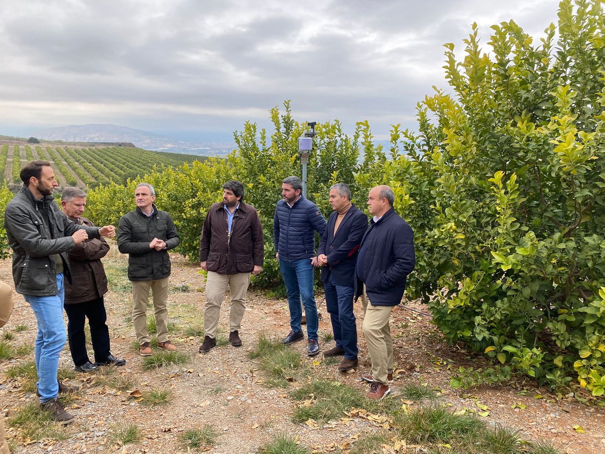 PopularTvMurcia's tweet photo. El jefe del Ejecutivo regional, Fernando López Miras, visita una finca de cítricos de la empresa Mariano Sáez, en Alhama de Murcia: “En la Región aprovechamos cada gota de agua para seguir abasteciendo a Europa” https://t.co/io4L22eDLW