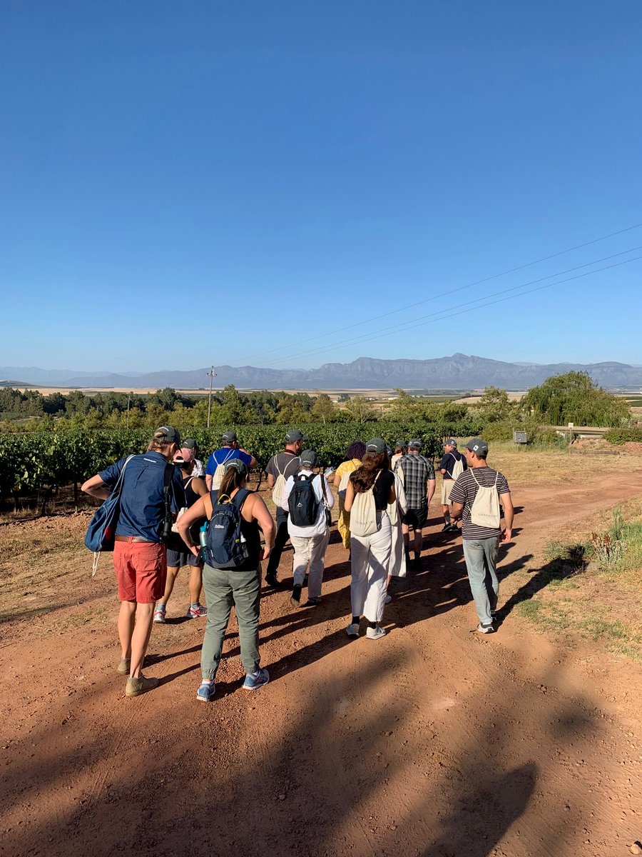 VondelingWines's tweet photo. Excited to have launched our new Babiana Trail &amp; Bird Hide on our farm! 🦅🙌

This is the 1st ecotourism activity that we're implementing with the aim for guests to not only enjoy quality wine but to experience the rich biodiversity our farm has to offer. 🌸

#followthesugarbird https://t.co/WtHbzTmPgy