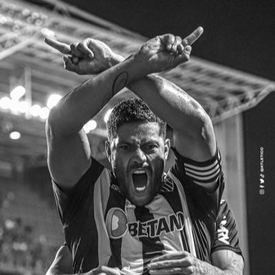 lucasdpetrone's tweet photo. #NovaFotoDePerfil ídolo 🙌⭐️🐔 https://t.co/miIigxBOPS