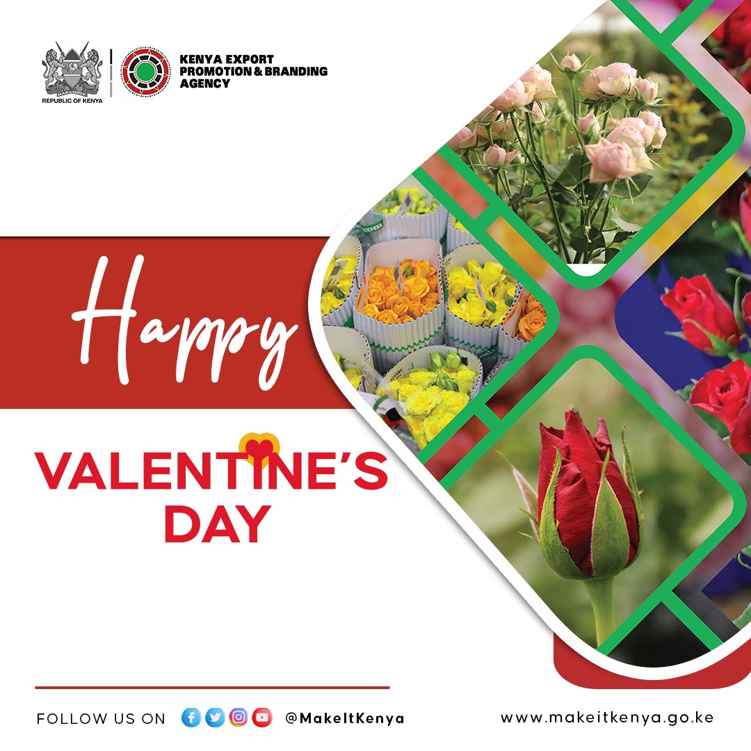 MakeItKenya's tweet photo. HAPPY VALENTINE'S DAY
Bringing beauty and joy to the world, one blossom at a time. Happy Valentine's Day from Kenya's thriving flower sector.
#ThinkFlowers - #MakeItKenya
@kenyaflower https://t.co/LFtnCZanqC