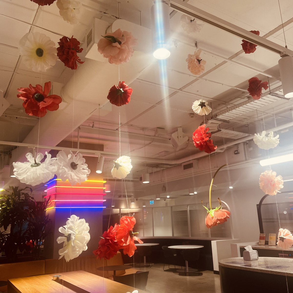 aya_p_BNE's tweet photo. Happy Valentine's Day from Australia!
オフィスもバレンタイン仕様に🌹
現地訪問中の都内の学生さんからの社会人インタビューでいただいたLUPICIAのお茶、相方と贈り合いっこ(?)したチョコなど。プチギフトって贈るのも贈られるのも良いものですね。
#Valentine #Lupicia #Fererro #Choco #WeWork https://t.co/zfscHOoYV9