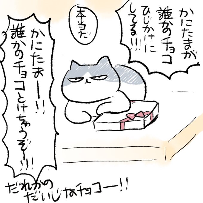 誰かのチョコ 