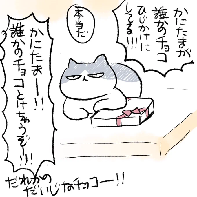 誰かのチョコ 