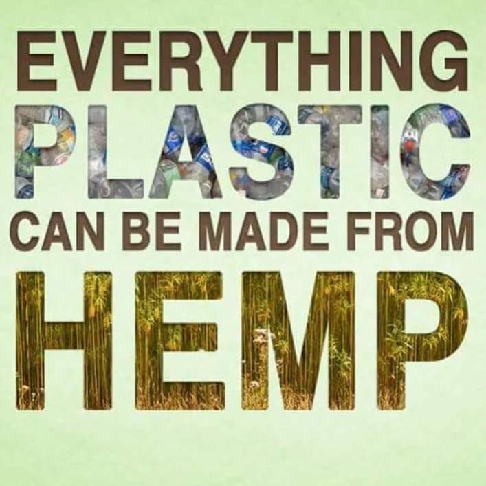 Plastic pollution is a serious problem-
10-1,000 yrs to decompose.
Hemp can be used as an alternative
3-6 mo. to decompose
almost every plastic product can be 
made with hemp.

🐢 #HempNotPlastic
🐧 #stopplasticwaste 

#wtpBLUE