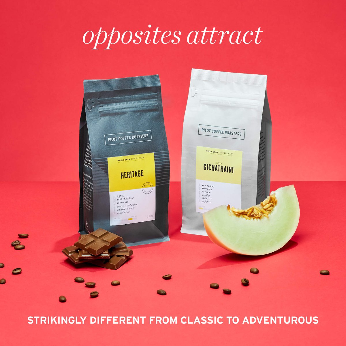 Pilot Coffee Roasters tweet media