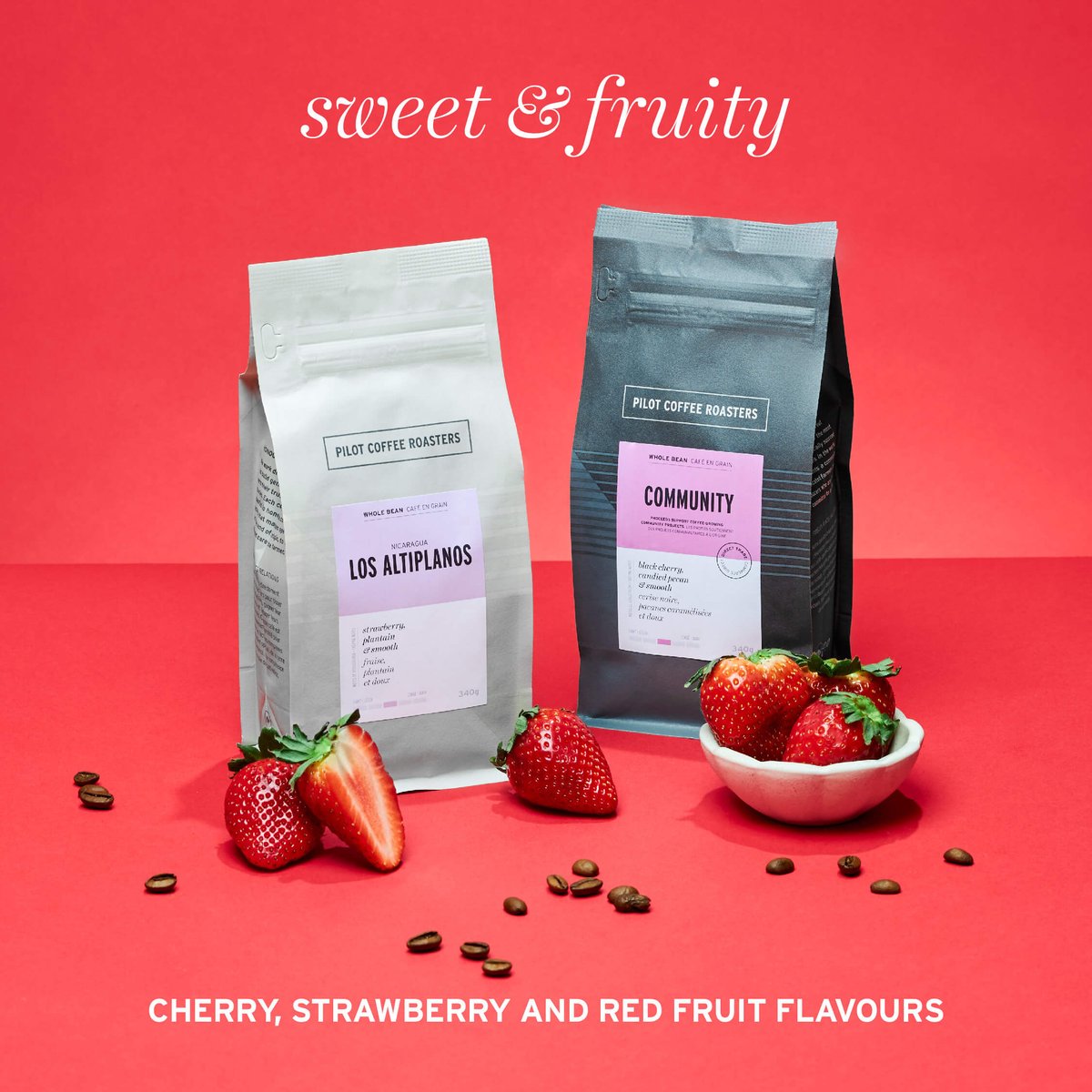 Pilot Coffee Roasters tweet media