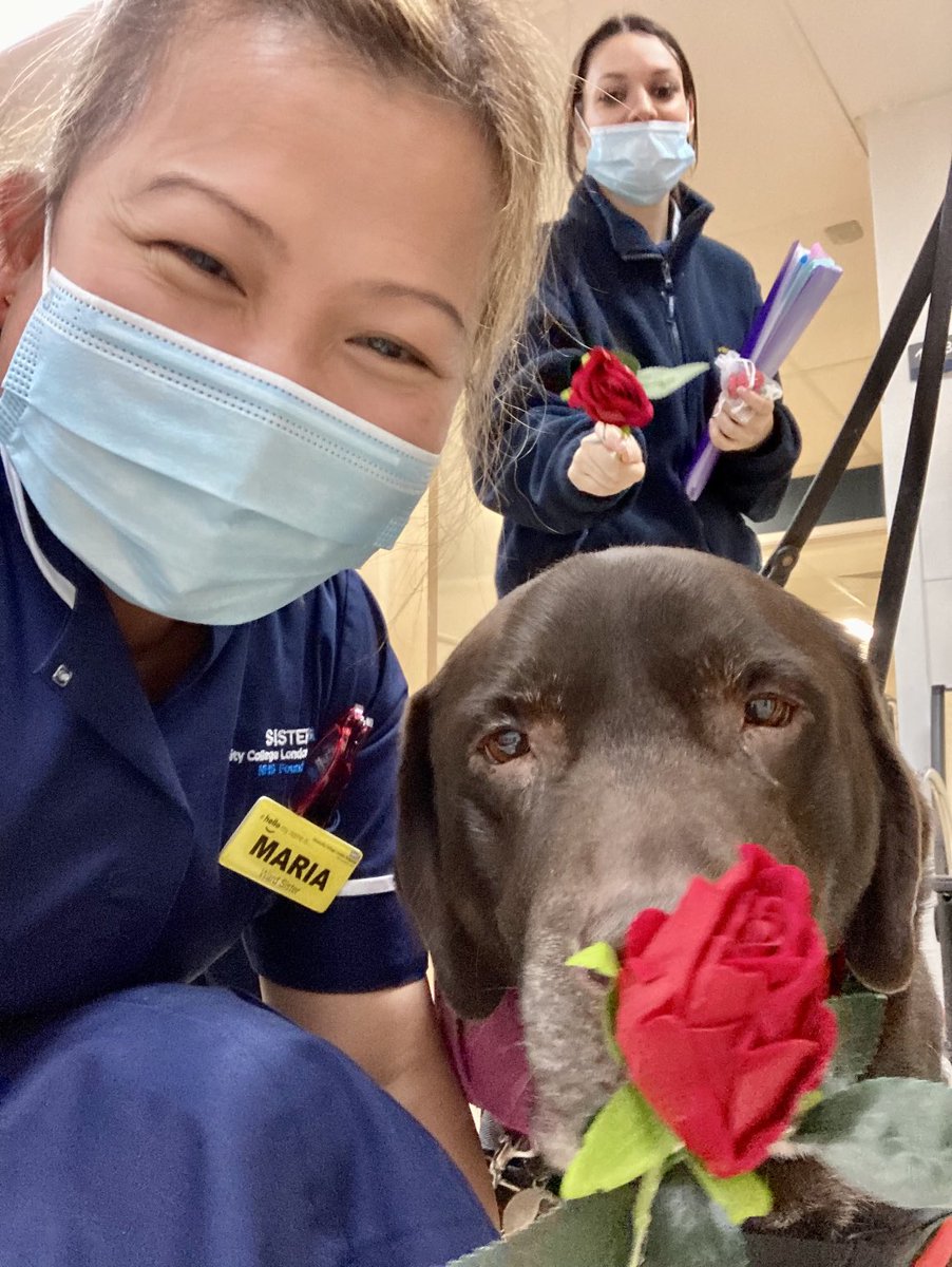 RidulmeM's tweet photo. Happy Valentine’s Day everyone!!! ⁦@ExoticRamblings⁩ and ⁦@uclh⁩ Volunteers Services spreading love and joy to patients and staff- thank you! Make sure you give a loved one a hug this week❤️ ⁦@vsweeney431⁩ ⁦@DympsM⁩ ⁦@loudutch⁩ ⁦@Janet_180783⁩ https://t.co/miENtB62Xc